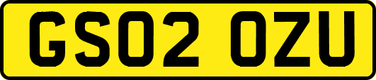 GS02OZU
