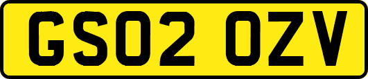 GS02OZV