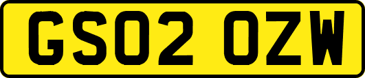 GS02OZW