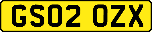 GS02OZX