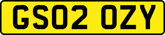 GS02OZY