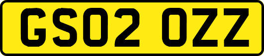 GS02OZZ