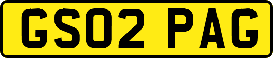 GS02PAG