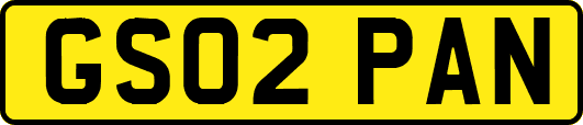 GS02PAN