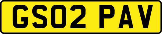 GS02PAV