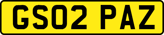 GS02PAZ