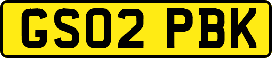 GS02PBK