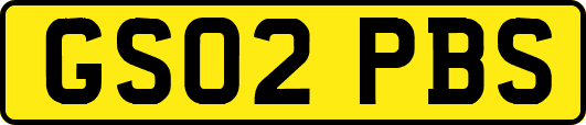 GS02PBS