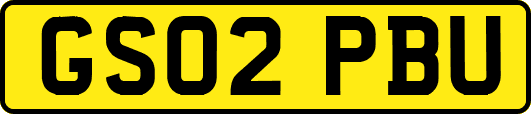 GS02PBU