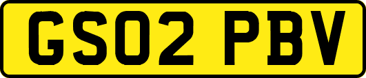 GS02PBV