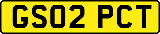 GS02PCT