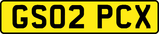 GS02PCX