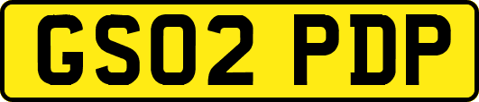 GS02PDP