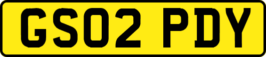 GS02PDY