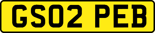 GS02PEB