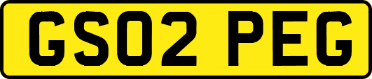 GS02PEG