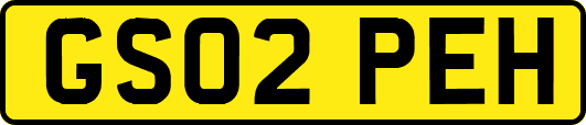 GS02PEH