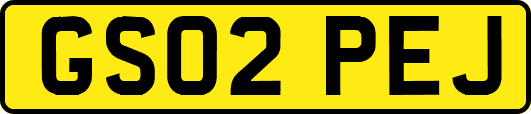 GS02PEJ