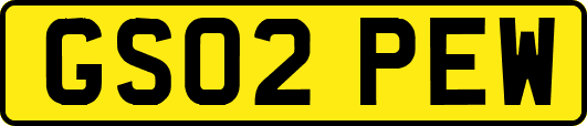 GS02PEW