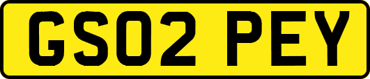GS02PEY