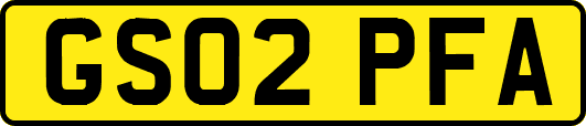 GS02PFA