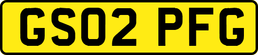 GS02PFG