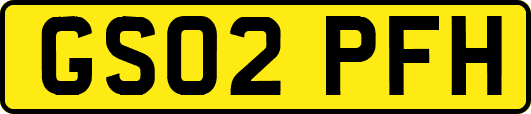 GS02PFH