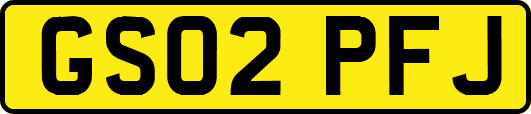 GS02PFJ