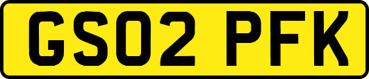 GS02PFK