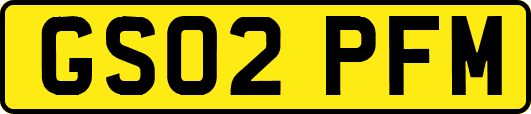GS02PFM