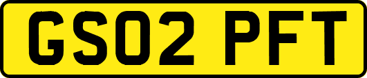 GS02PFT