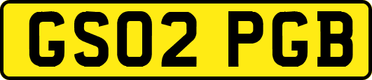 GS02PGB