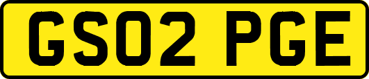 GS02PGE