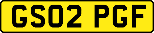 GS02PGF