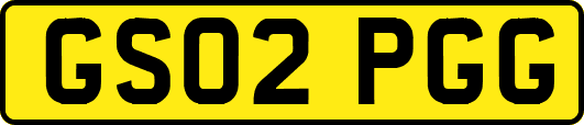 GS02PGG