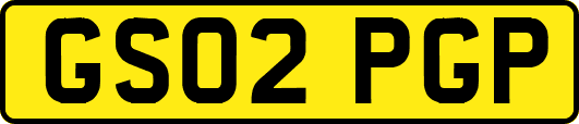 GS02PGP