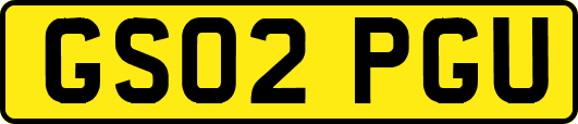 GS02PGU