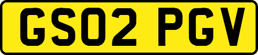 GS02PGV