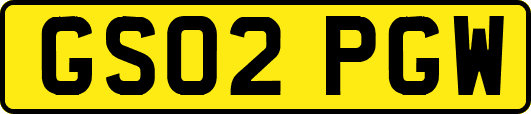 GS02PGW