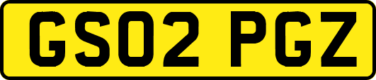 GS02PGZ
