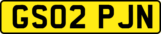 GS02PJN