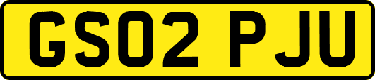 GS02PJU
