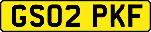 GS02PKF