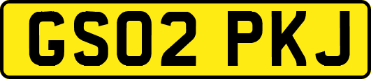 GS02PKJ