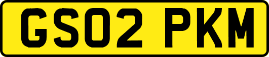 GS02PKM