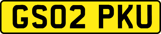 GS02PKU