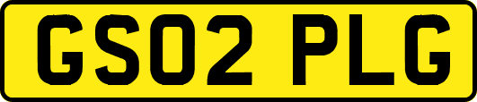 GS02PLG