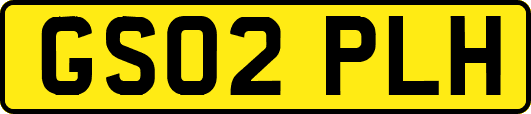 GS02PLH