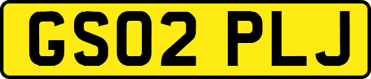 GS02PLJ