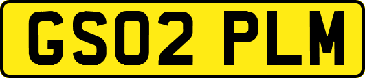 GS02PLM